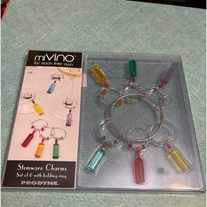 Stemware Charms Set of 6 with holding ring